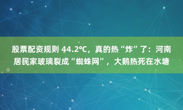 股票配资规则 44.2℃，真的热“炸”了：河南居民家玻璃裂成“蜘蛛网”，大鹅热死在水塘